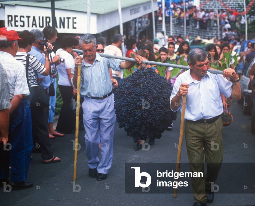 Wine Harvest Festival, Camara de Lobos, Madeira, Portugal (photo)