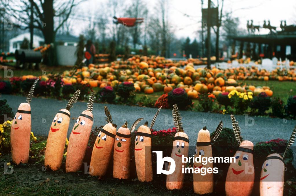 Autumn Display, New York (photo)