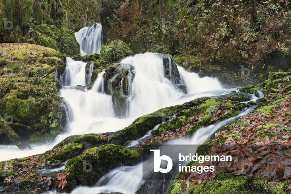 Sweet Creek Falls, 2018 (photo print on canvas)
