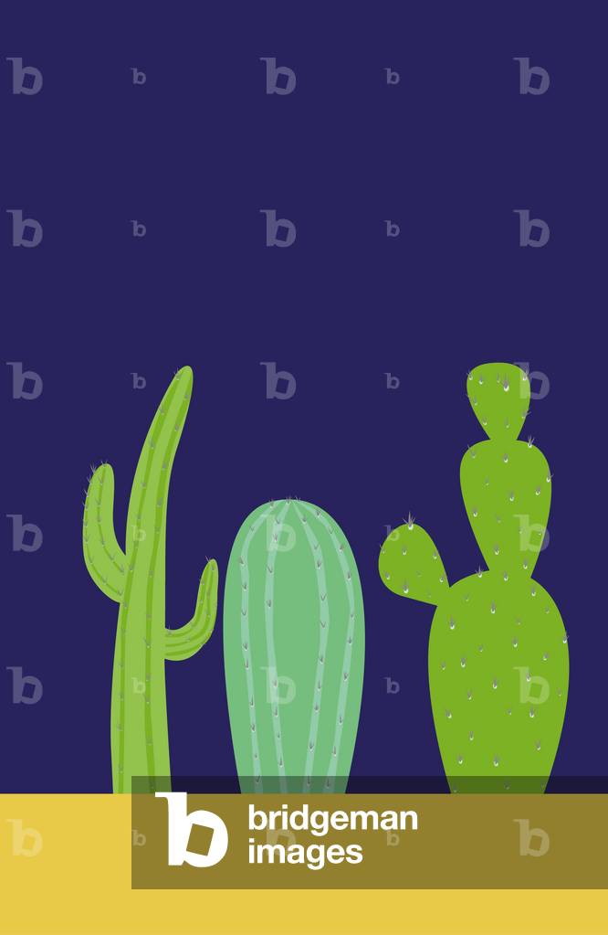 Cacti at night, 2019