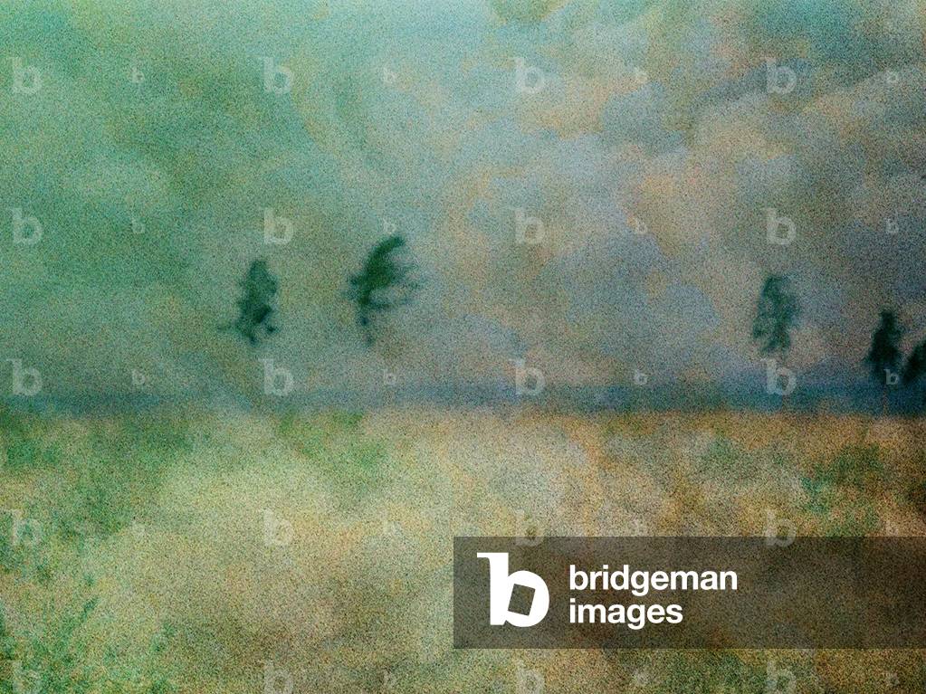 Cloudy Trees (photography)