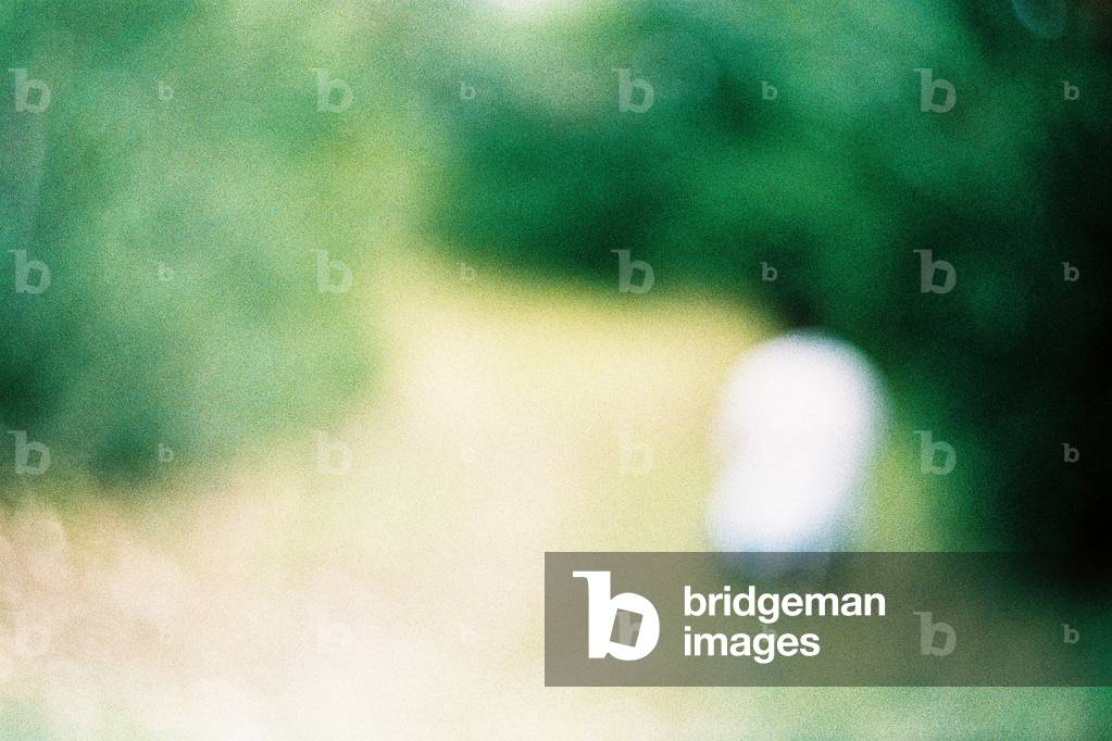 On the path (photography)