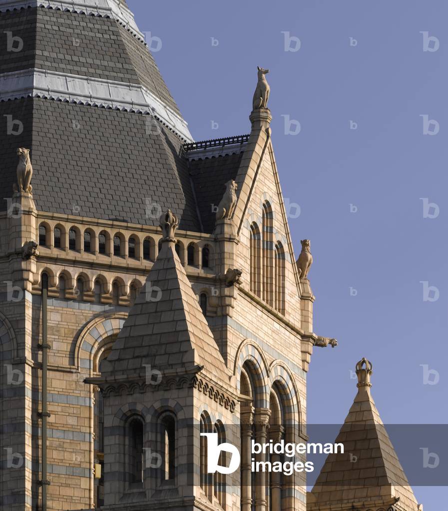 Natural History Museum, Kensington and Chelsea, London , UK (photo)