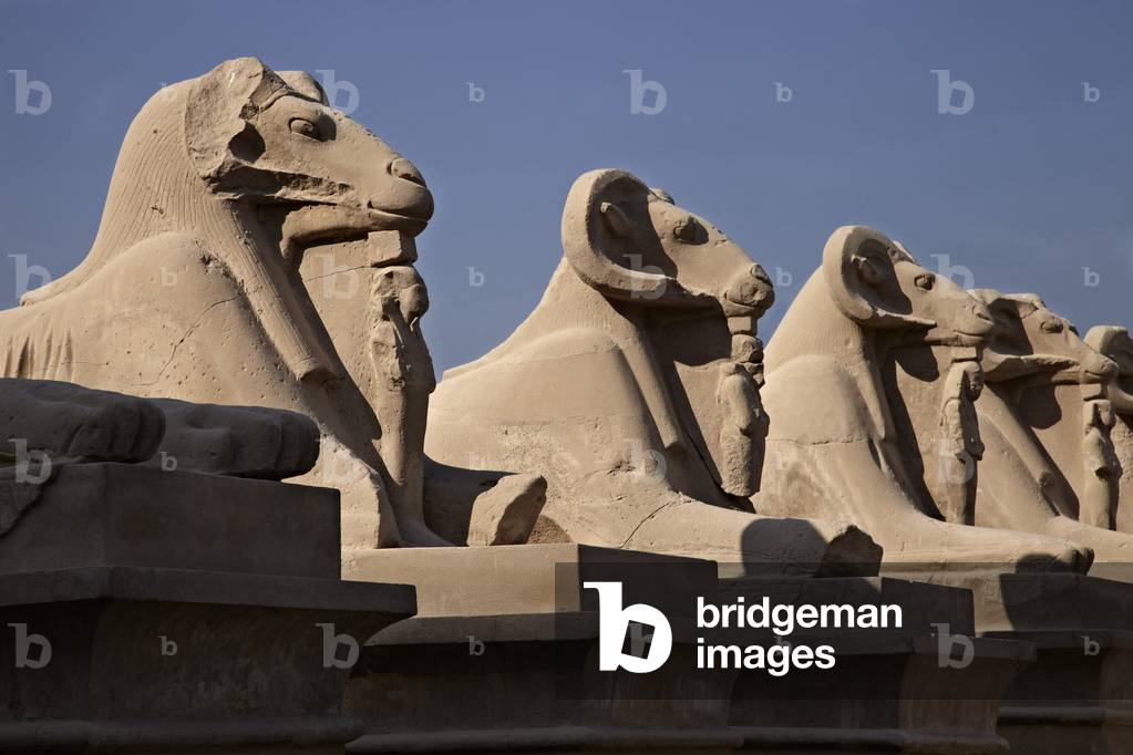 Avenue of Rams, Karnak Temple, Luxor, Egypt (photo)