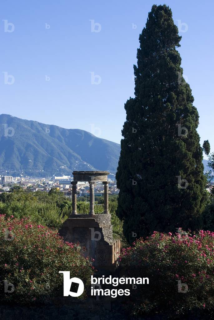 Overlook of the ruins of the ancient Roman city of Pompeii, Mount Vesuvius, in the background, in AD79, Campania, Italy (photo)