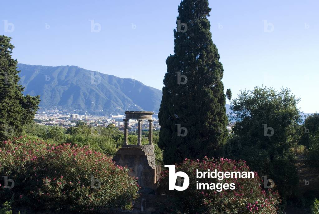 Overlook of the ruins of the ancient Roman city of Pompeii, Mount Vesuvius in the background, in AD79, Campania, Italy (photo)