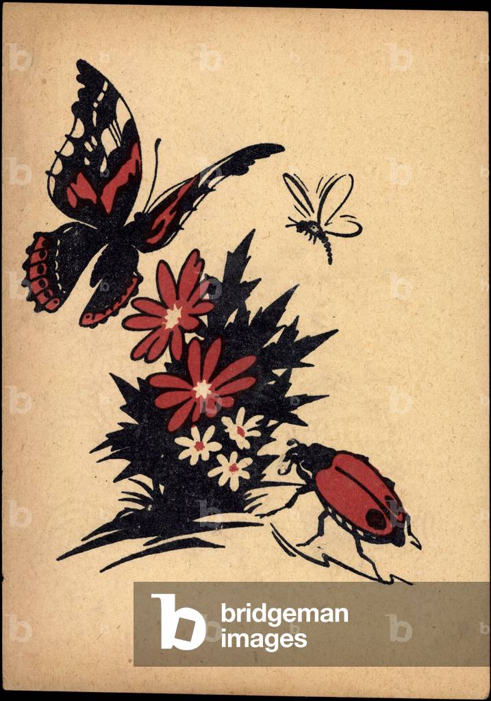 Artist Butterfly, Fire Bug, Dragonfly, Flowers