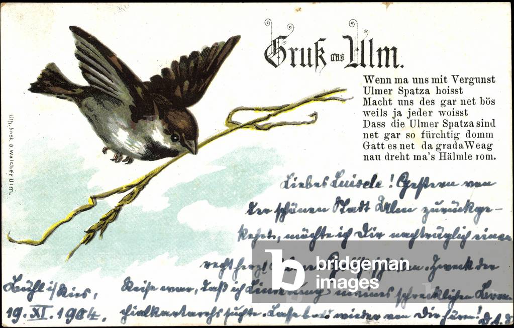 Ulm, sparrow with blade of grass in beak, Ulm sparrows, verse