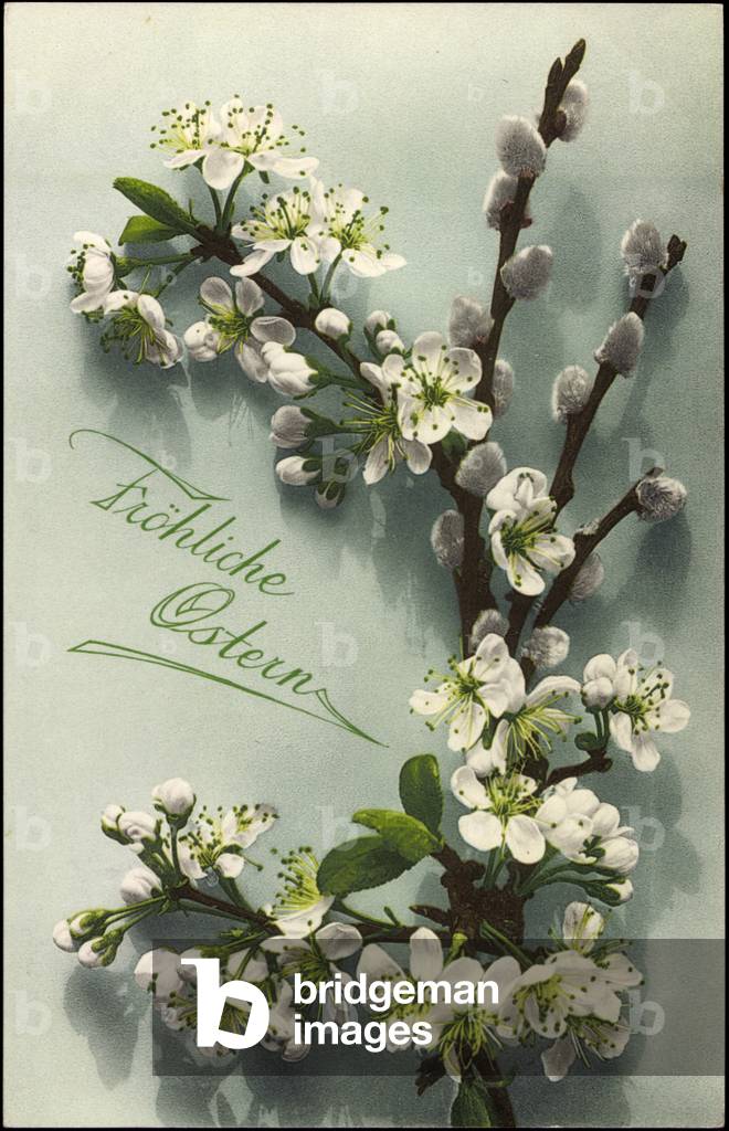 Congratulations Easter, fruit blossoms and willow bibs