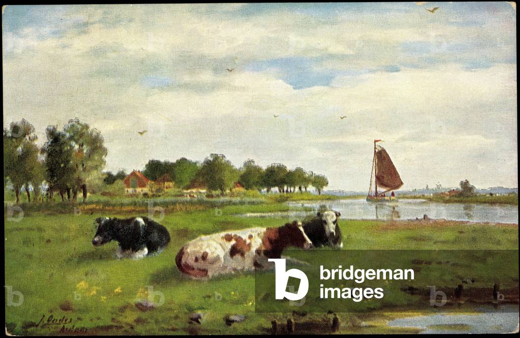 Artist cows on the meadow at the edge of the river, sailboat