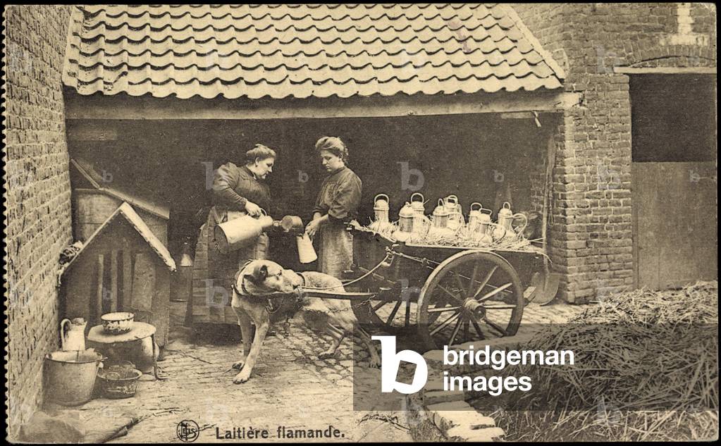 Flanders Belgium, spawn flamande, Flemish dairy, milk jugs