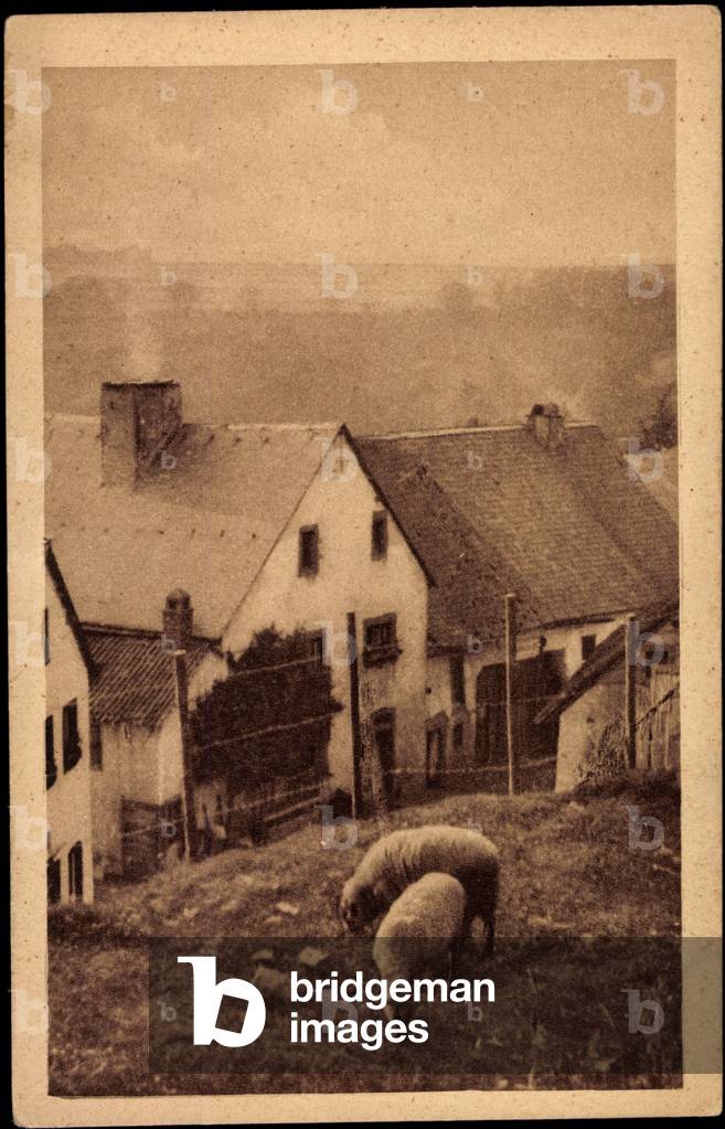 Kronenburg Dahlem Eifel, Castle Peace, Sheep, Residential Houses