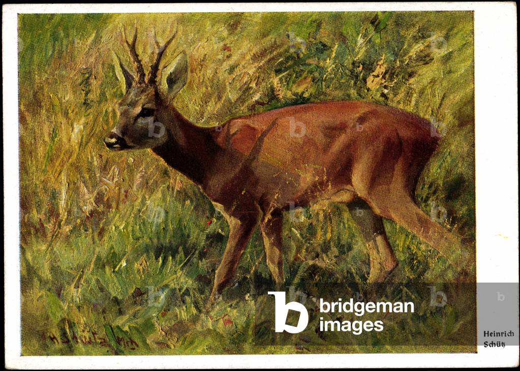 Artist Heinrich Schütz, Hirsch runs through Gräser