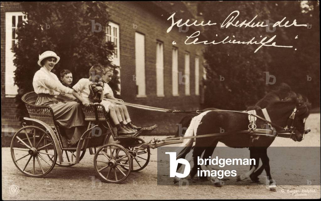 Ak Crown Princess Cecilie of Prussia with sons in carriage, NPG, ponies (b/w photo)