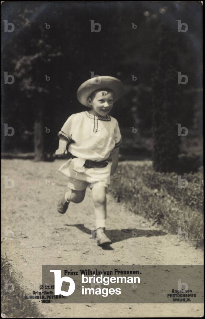 Prince William of Prussia, Photochemistry Berlin 2215