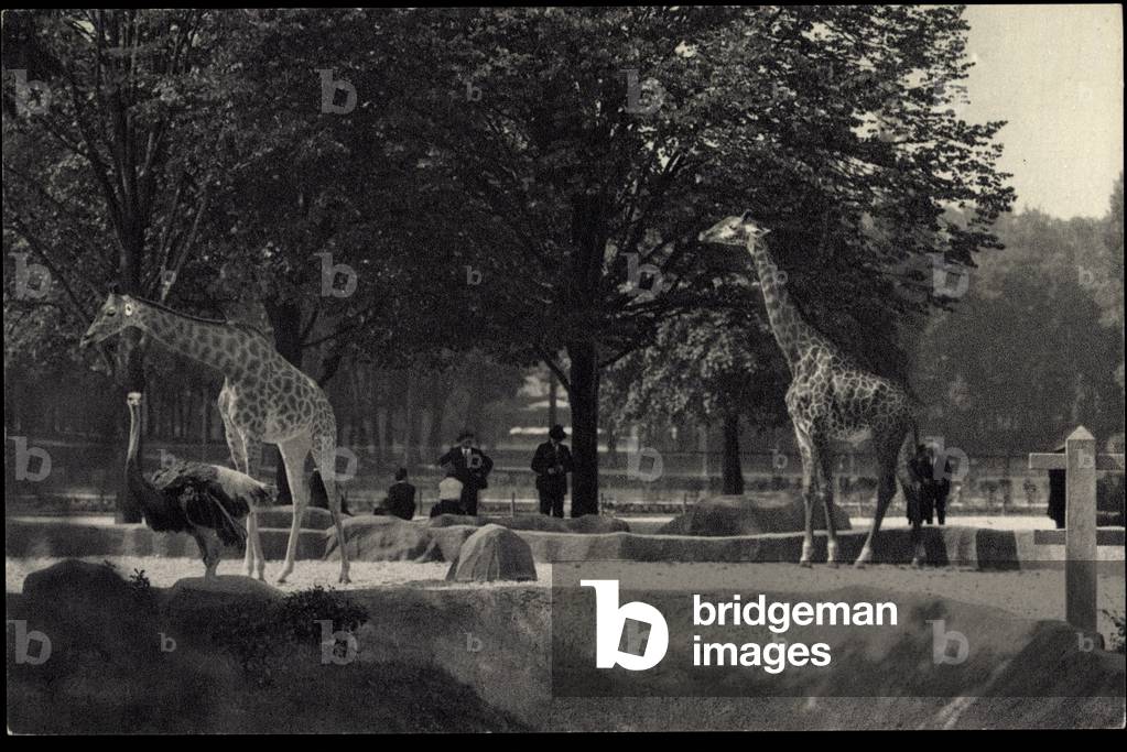 Paris, National Museum of Natural History, Zoological Park, Bois D.Vincennes