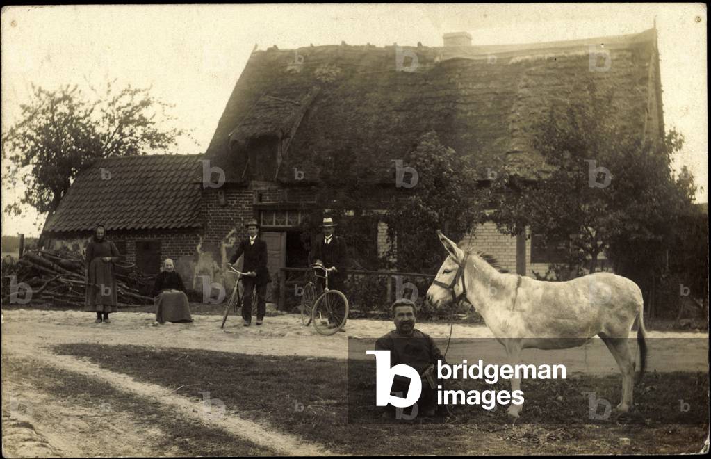 Photo Diesdorf Saxony Anhalt, horse, inhabitant, bicycle, residential building