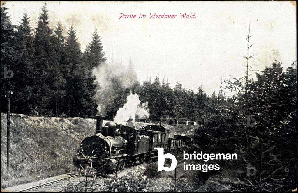 Werdauer Forest, A steam locomotive in full speed