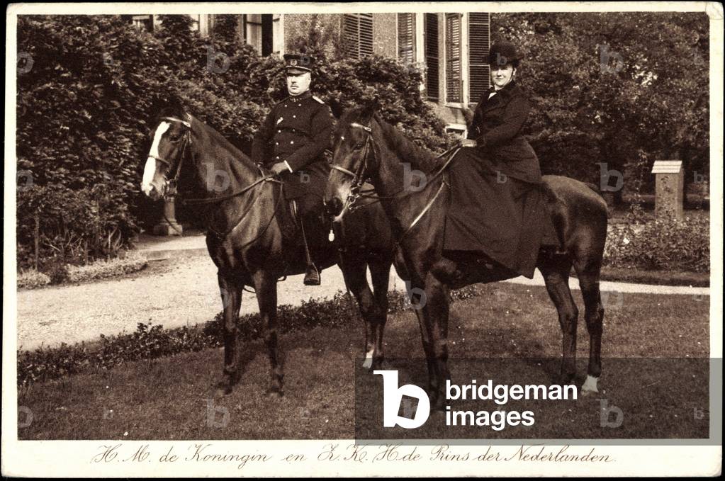H.M. de Koningin en Z.K.H. de Rins der Nederlanden, Pferde