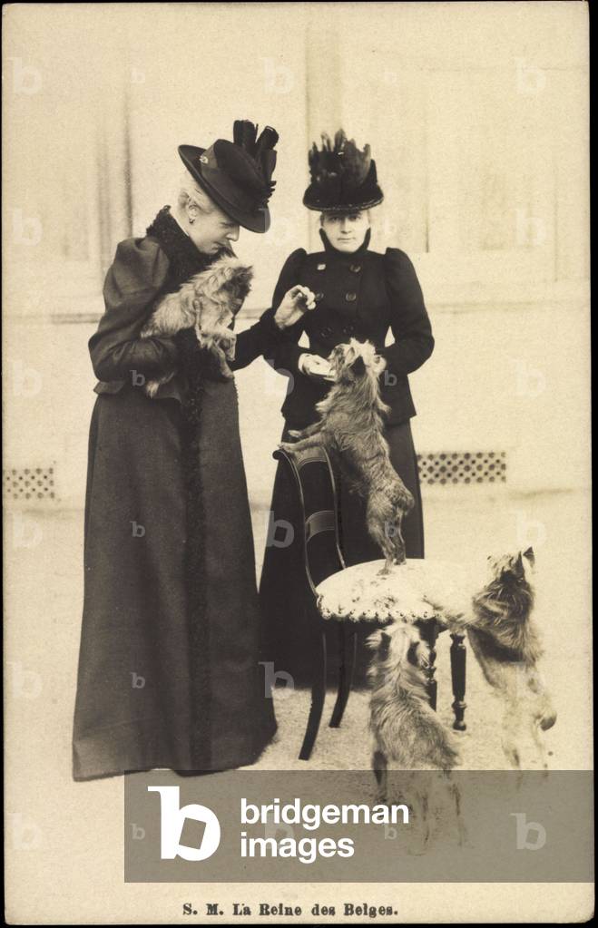 H.M. The Queen of the Belgians, Yorkshire Terrier