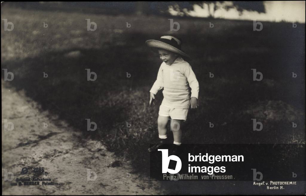 Prince William of Prussia, Photochemistry Berlin 2086