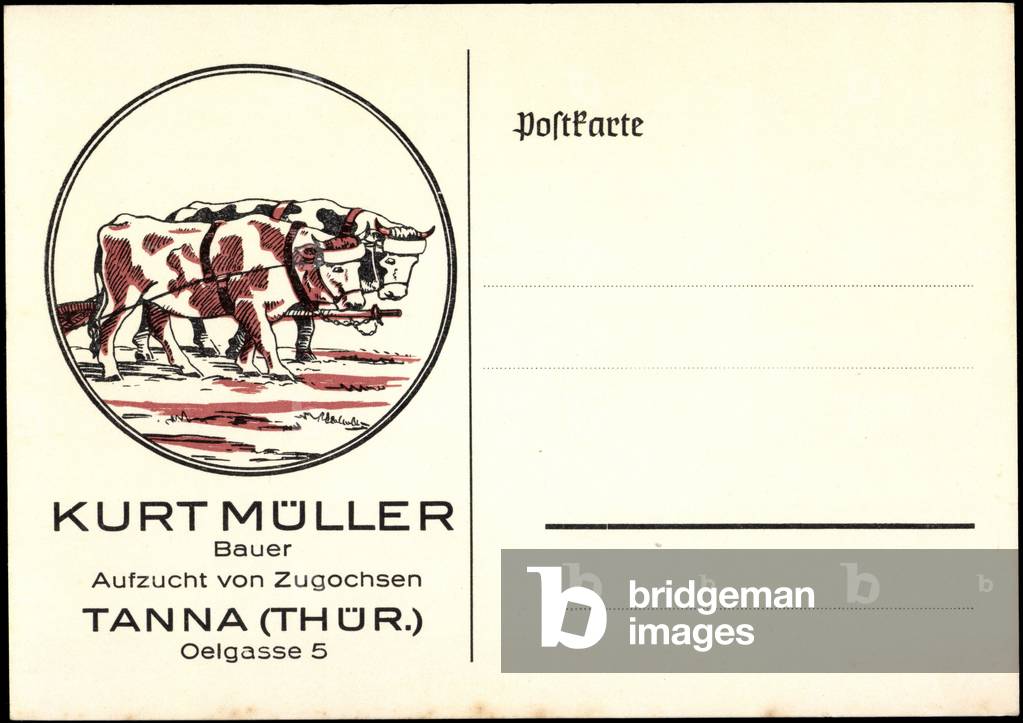 Tanna Thuringia, Kurt Müller, Zugochsen Aufcht, Oelgasse 5