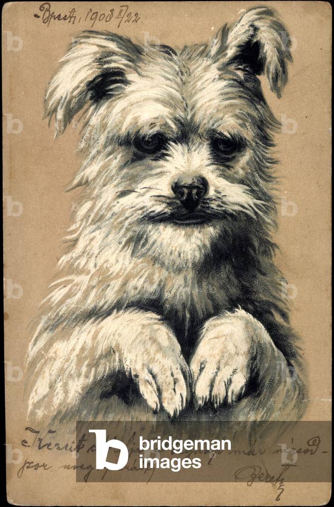 Embossed dog, dog on two legs