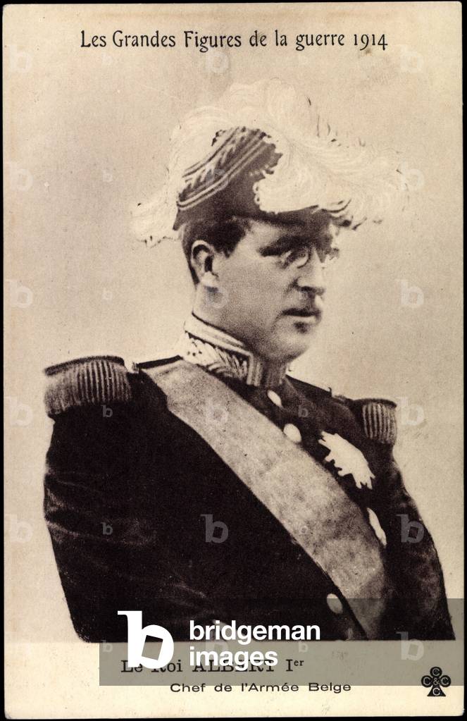 King Albert I, Head of the Belgian Army, War 1914