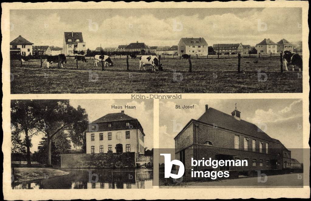 Cologne Dünnwald, Haus Haan, St. Josef, herd of cattle on the field