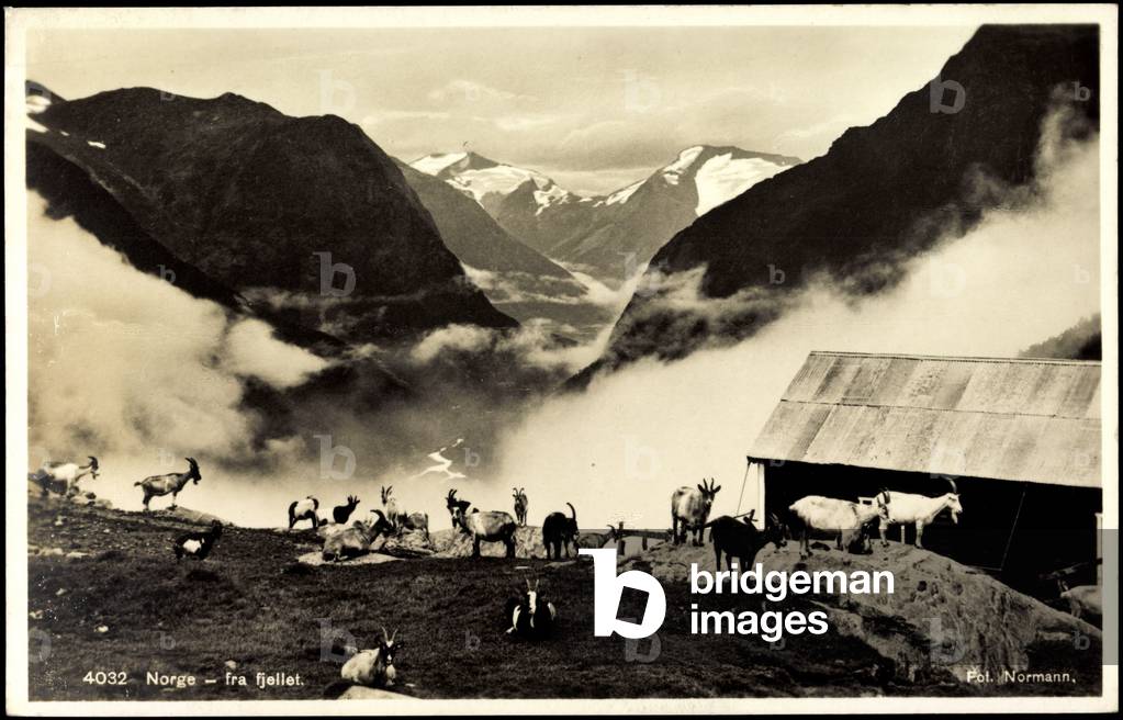 Norway, fra fjellet, goat herd at a hut on the mountain