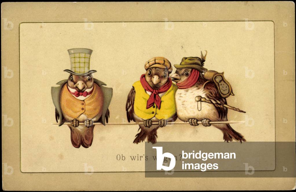 Birds on the pole, do we dare? , dressed as a hiker