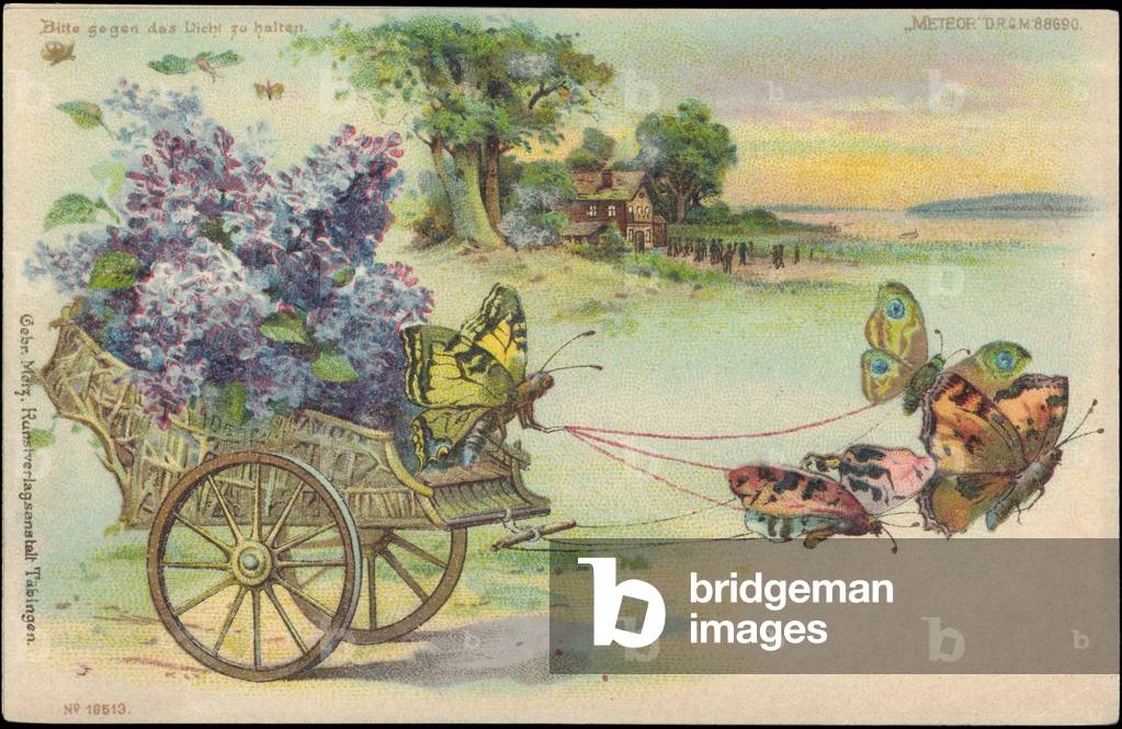 Litho Butterfly Flower Trolley Kitsch Meteor DRGM 88690