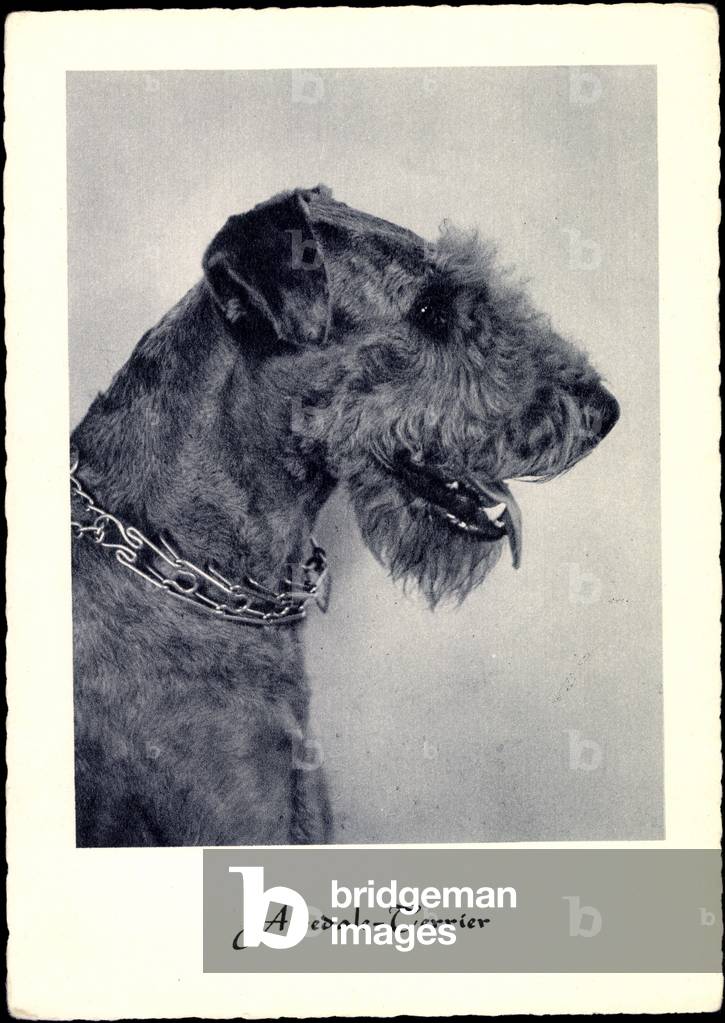 Airedale Terrier Side Profile Necklace