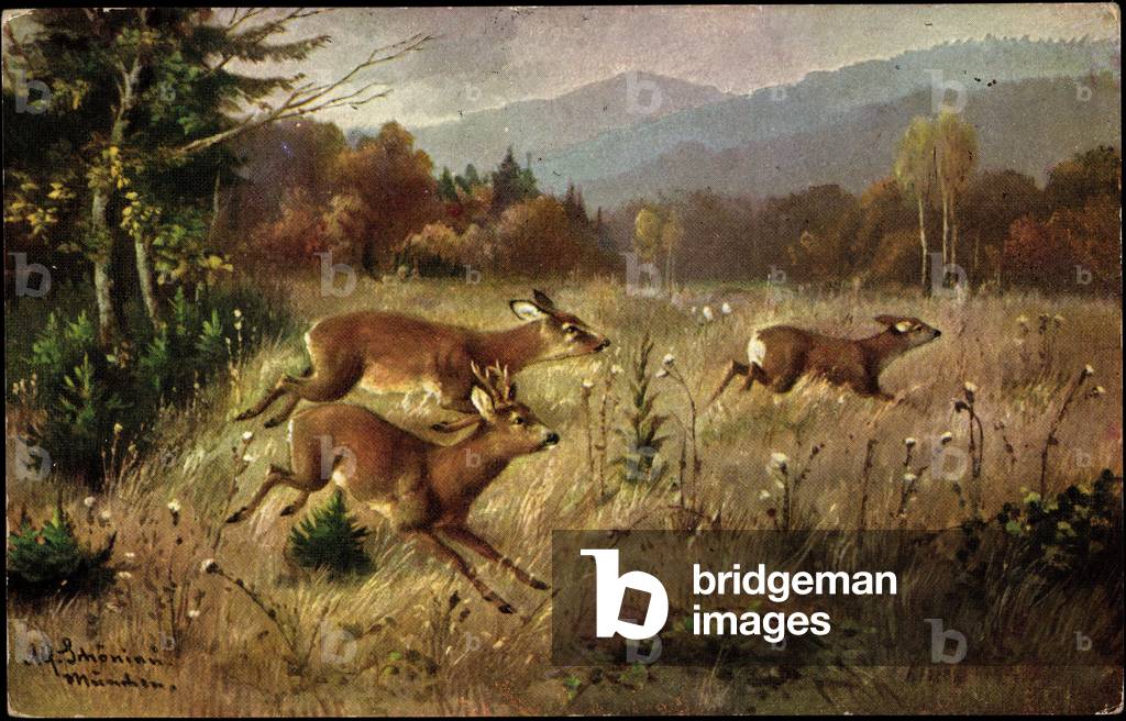 Artist Alfred Schönian, young fawn jumping over the field