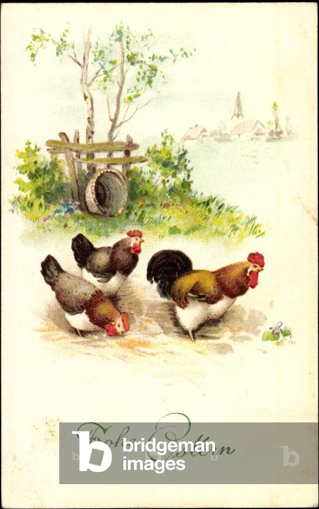Congratulations Easter, Rooster with hens in the yard