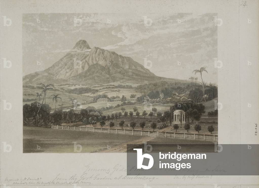 Garden at Buitenzorg (aquatint)