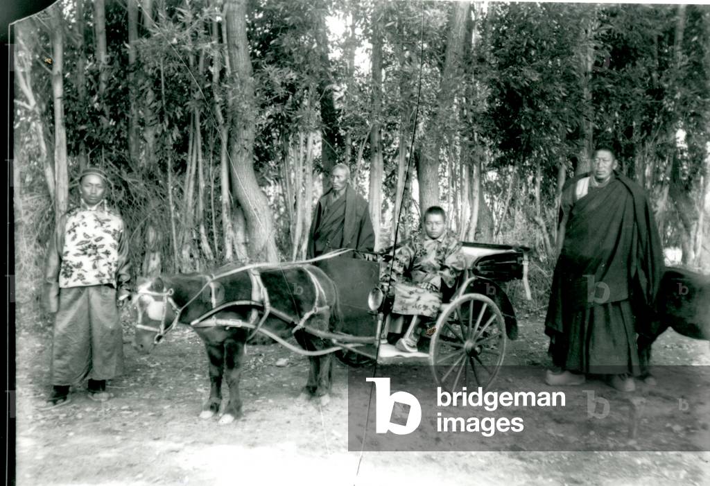 Shetland pony-cart in Lhasa, c.1930s (b/w photo)