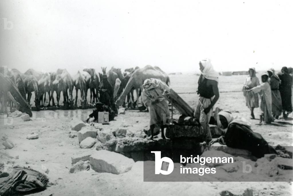 Bedouin watering camels, 1934 (b/w photo)