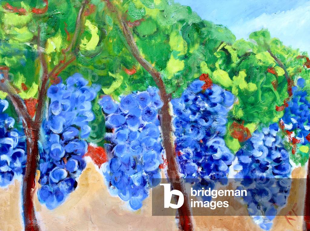 Grapes on the Vine, 2017, (oil on canvas)