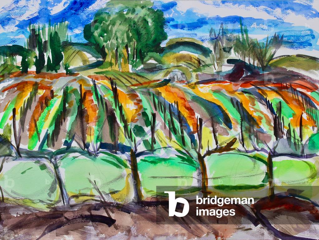 Autumn Vineyards, Napa, 2017, (watercolor on paper)