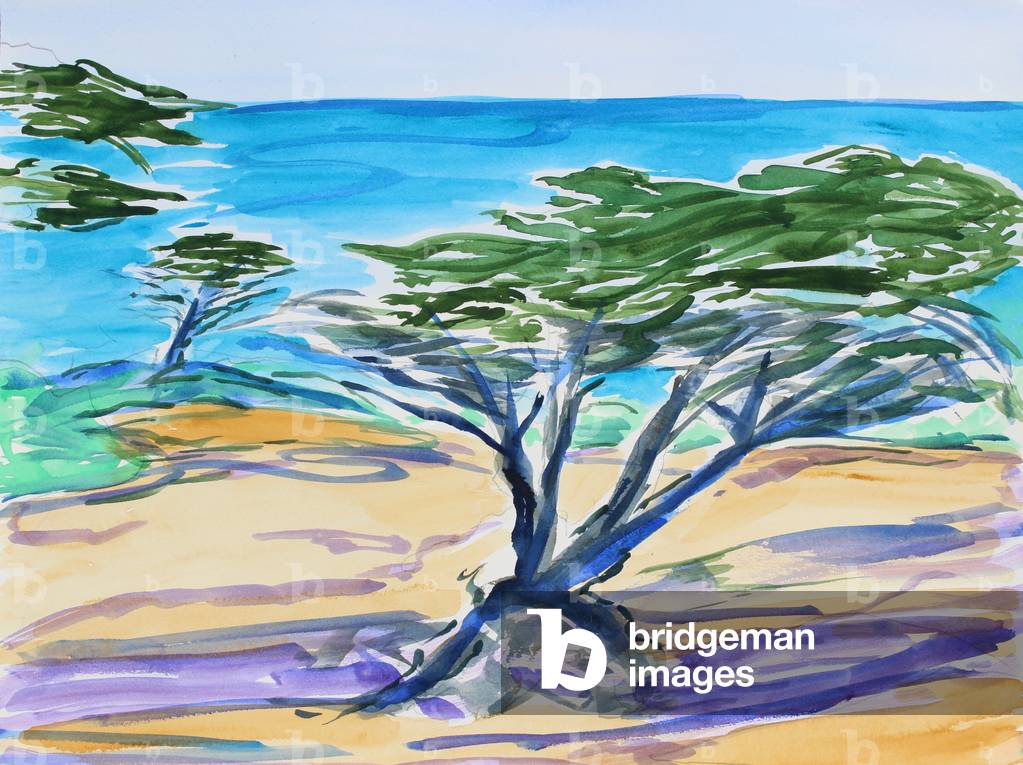 Cypress Tree, Carmel Bay, 2019, (watercolor on paper)