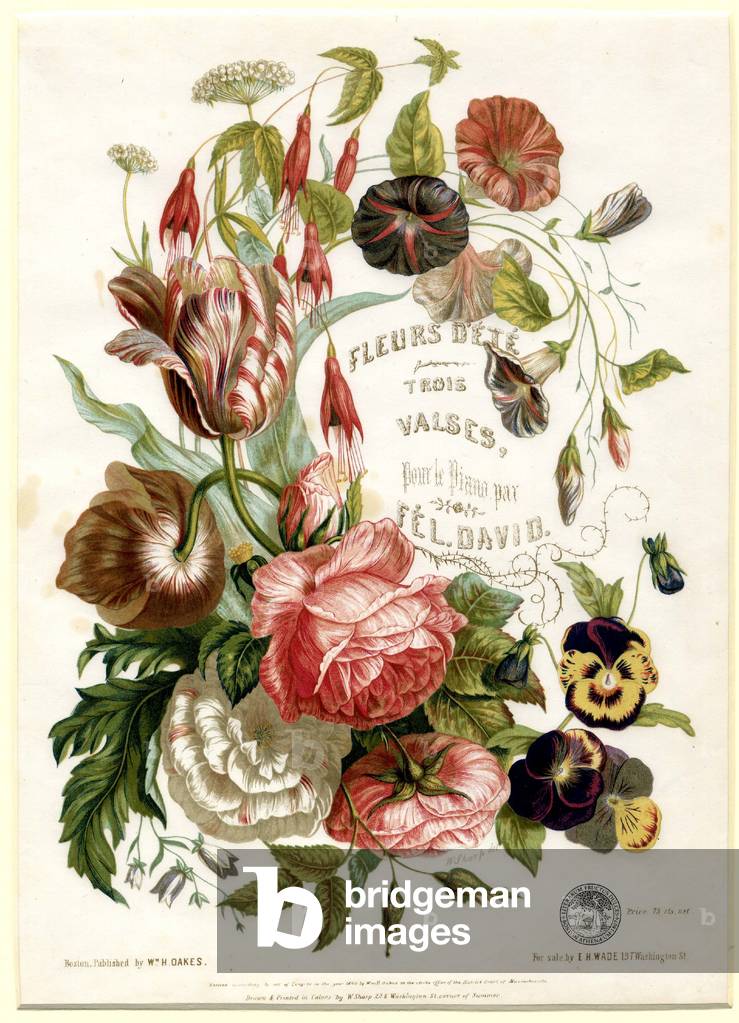 Summer Flowers: Three Waltzes, 1849 (colour litho)