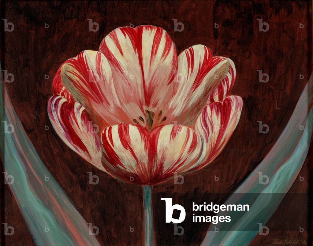 Tulip (mixed media on panel)