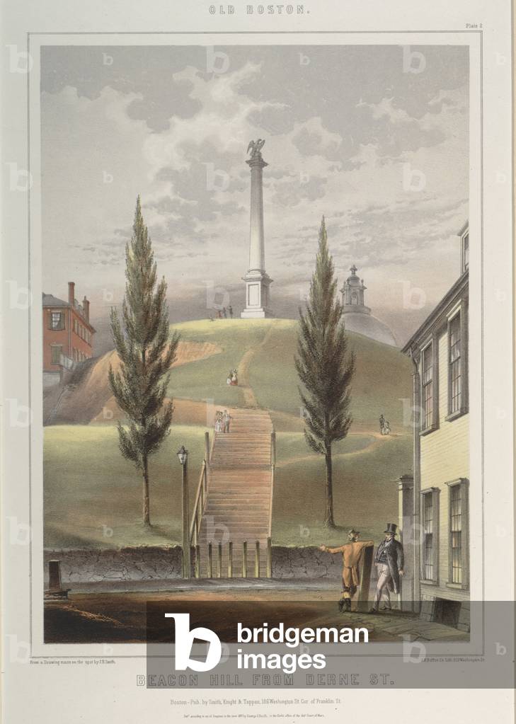 Beacon Hill from Derne Street, Boston, 1857 (chromolitho)
