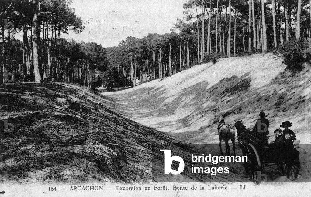 Forest excursion to Arcachon (Gironde, Aquitaine): route to the dairy. Postcard, 20th century.