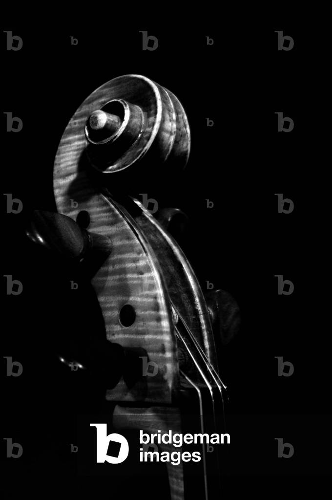Cello scroll.