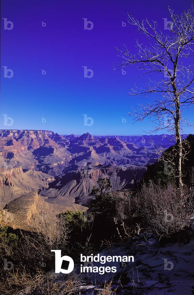 Grand Canyon National Park: Topographic Views, 2000 (photo)