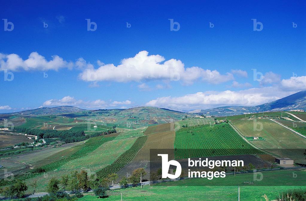 Italian Countryside: Topographic Views, c.1994 (photo)