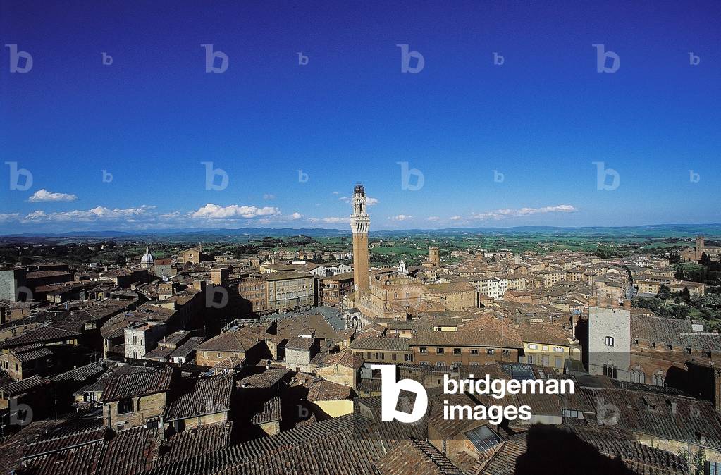 Piazza del Campo: Aerial and Topographic Views, c.1997 (photo)