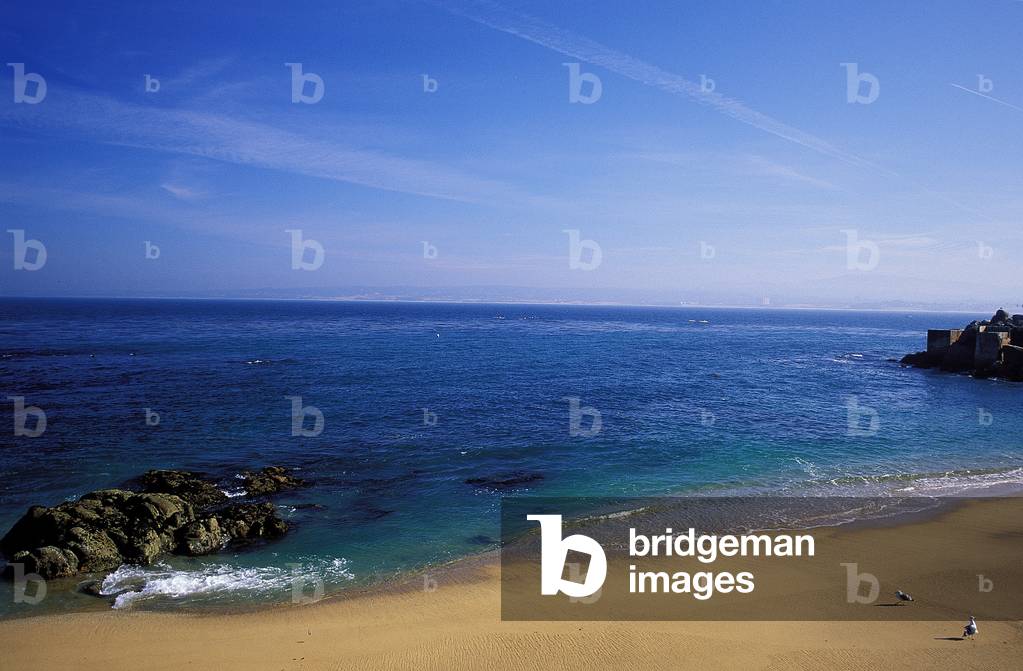 California Coast: Topographic Views, c.1997 (photo)